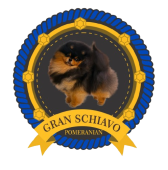 Gran Schiavo